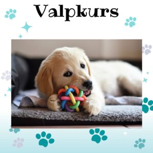 Valpkurs - 12 MAJ