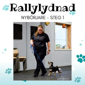 Rallylydnad Nybörjare - Steg 1 - 30 MAJ