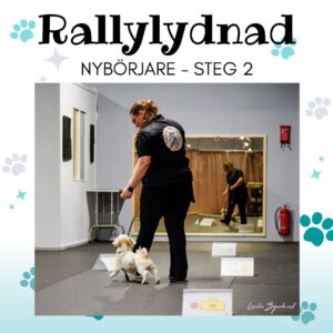 Rallylydnad Nybörjare - Steg 2 - 18 MAJ
