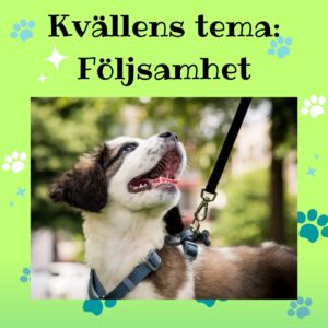Tematräff - Följsamhet - 28 MAJ
